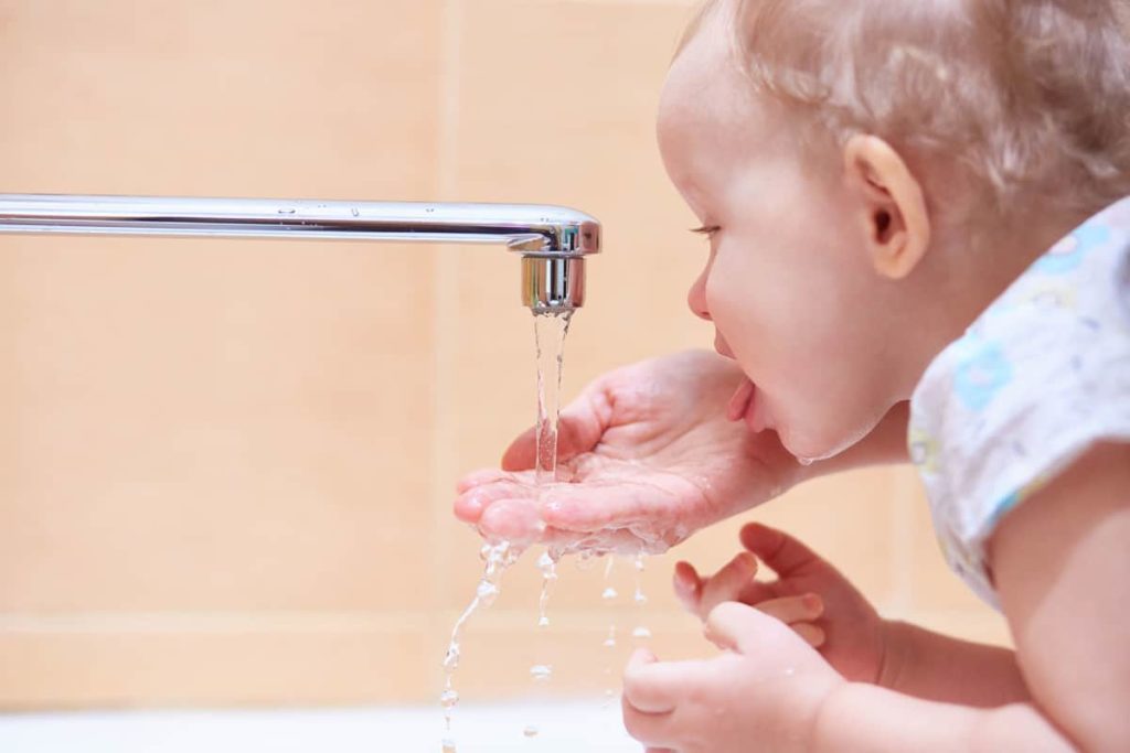 Amilo filtre et vitalise l'eau du robinet
