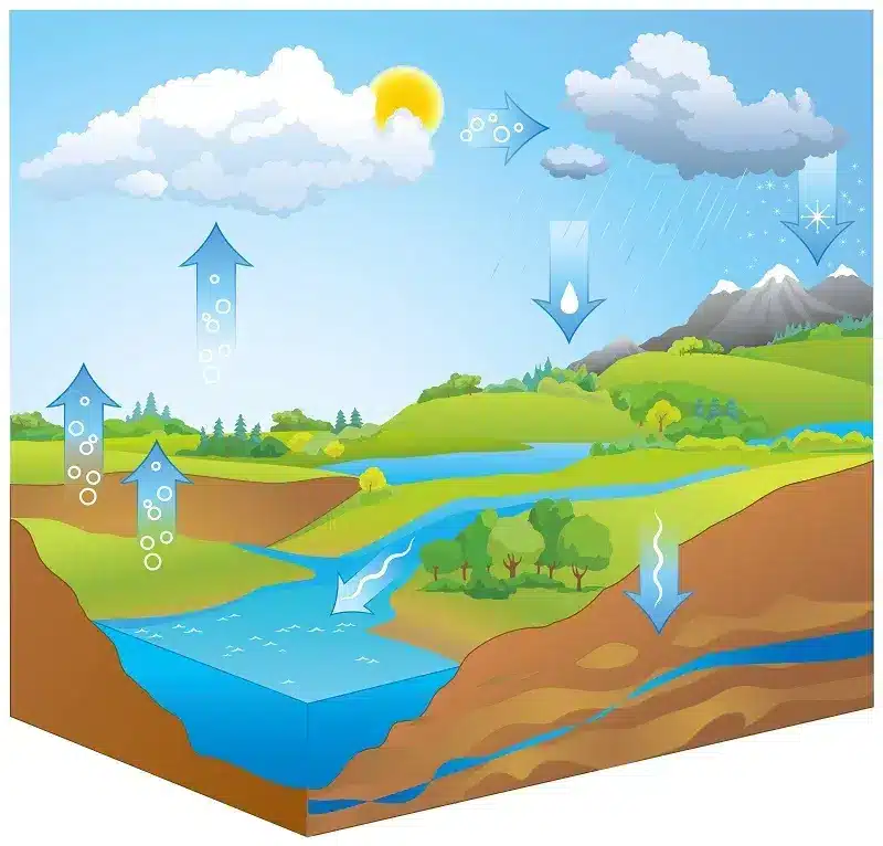 cycle naturel de leau